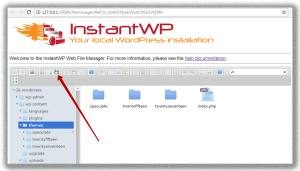 Менеджер файлов InstantWP для работы с файлами