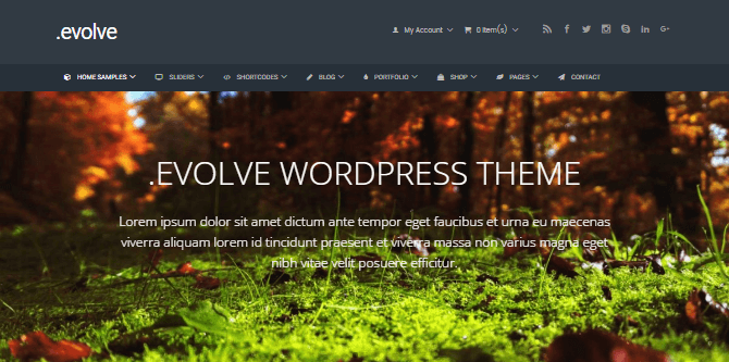 Бесплатная тема Wordpress .evolve